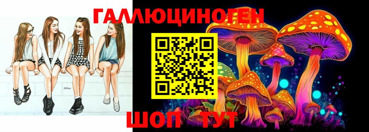 Приморско-Ахтарск  Псилоцибиновые грибы Psilocybine cubensis  Вход с VPN 